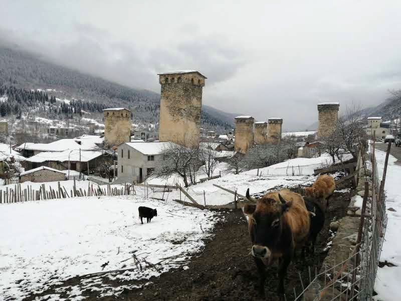 Svaneti in the snow